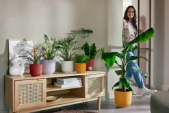 Online Elho Blumentopf Jazz weiß D 18,9 H 17,6 cm Blumentöpfe & Pflanzgefäße|Blumentöpfe