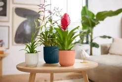 Best Elho Blumentopf Vibes blau D 16,1 H 14,8 cm Blumentöpfe & Pflanzgefäße|Blumentöpfe