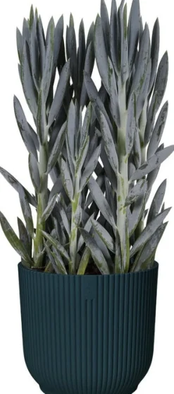 Outlet Elho Blumentopf Vibes D 18,3 cm H 16,8 cm blau Blumentöpfe & Pflanzgefäße|Blumentöpfe