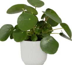 Elho Blumentopf Vibes D 22 cm H 20,2 cm weiß Blumentöpfe & Pflanzgefäße|Blumentöpfe