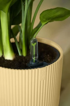 Discount Elho Blumentopf Vibes gelb D 18,3 H 16,8 cm Blumentöpfe & Pflanzgefäße|Blumentöpfe