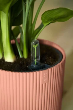 Outlet Elho Blumentopf Vibes rosa D 22 H 20,2 cm Blumentöpfe & Pflanzgefäße|Blumentöpfe