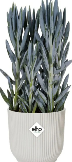 New Elho Blumentopf Vibes weiß D 16,1 H 14,8 cm Blumentöpfe & Pflanzgefäße|Blumentöpfe