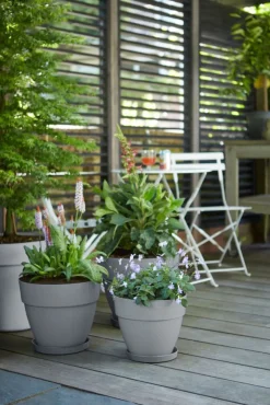 Best Elho Blumentopf Vibia Campana grau D 30 H 25,3 cm Blumentöpfe|Blumentöpfe & Pflanzgefäße