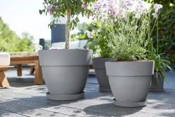 Sale Elho Blumentopf Vibia Campana grau D 25 H 21 cm Blumentöpfe|Blumentöpfe & Pflanzgefäße