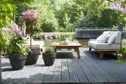 Online Elho Blumentopf Vibia Campana anthrazit D 30 H 25,3 cm Blumentöpfe|Blumentöpfe & Pflanzgefäße