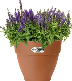 Best Elho Blumentopf Vibia terracotta D 30 H 25 cm Blumentöpfe|Blumentöpfe & Pflanzgefäße