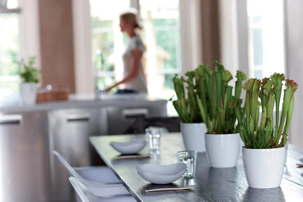 Online Elho Brussels Diamond Blumentopf rund 14 cm weiß Blumentöpfe|Blumentöpfe & Pflanzgefäße