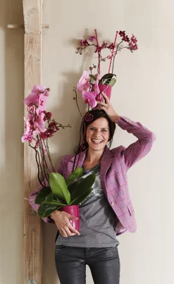 New Elho Brussels Diamond Orchideentopf fuchsia D 12,7 H 15,2 cm Blumentöpfe|Blumentöpfe & Pflanzgefäße