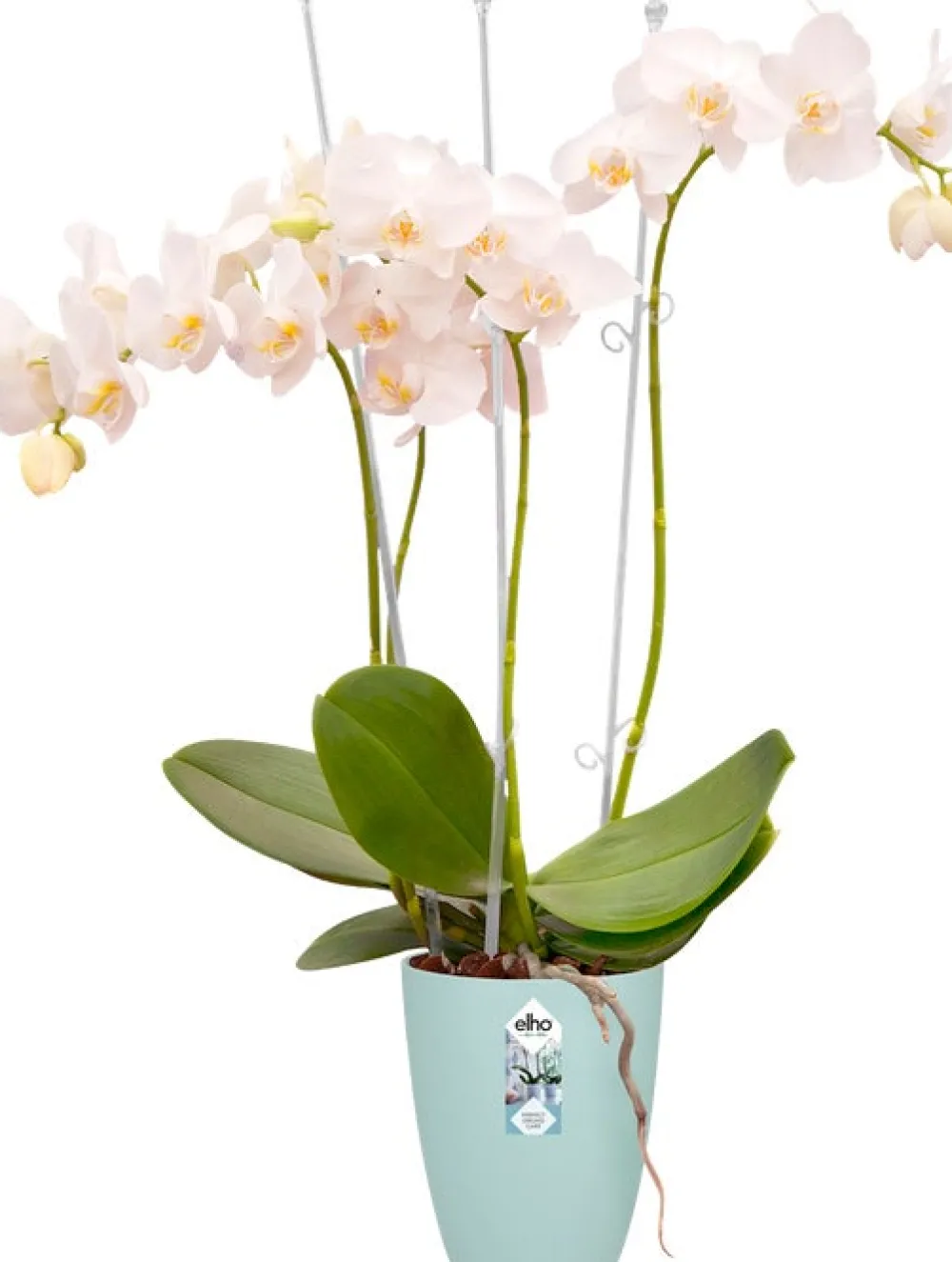 Elho Brussels Orchideentopf transparent D 12,7 H 15,2 cm Blumentöpfe & Pflanzgefäße|Blumentöpfe