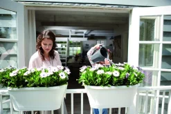 Clearance Elho Corsica Balkonkasten 58 x 29,6 x 24 cm anthrazit Balkonkästen|Blumentöpfe & Pflanzgefäße