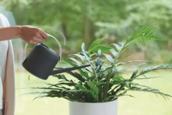 Elho Gießkanne B for soft 1,7 l anthrazit Gießen & Bewässerung|Gießkannen