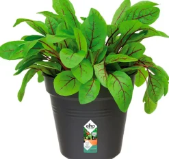 Online Elho green basics Anzuchttopf D 13 H 12 cm schwarz Anzuchttöpfe