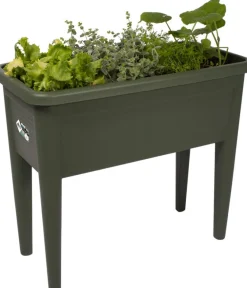 Elho green basics Anzuchtkasten XXL grün 75,5 x 36,5 x 65,1 cm Anzuchtkästen & Mini-Gewächshäuser
