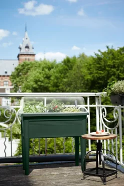 Elho green basics Anzuchtkasten XXL grün 75,5 x 36,5 x 65,1 cm Anzuchtkästen & Mini-Gewächshäuser