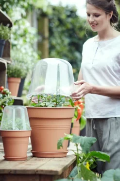 Online Elho green basics Anzuchtkasten Deckel D 30 cm H 23,1 cm Anzuchtkästen & Mini-Gewächshäuser