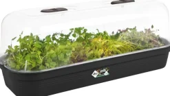 Hot Elho green basics Anzuchtschale schwarz 51,2 x 19,5 x 7,5 cm Anzuchtkästen & Mini-Gewächshäuser