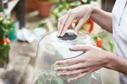 Clearance Elho green basics Anzuchtkasten Deckel D 17 cm H 13,8 cm Anzuchtkästen & Mini-Gewächshäuser