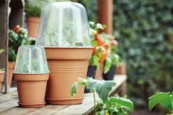 Clearance Elho green basics Anzuchtkasten Deckel D 17 cm H 13,8 cm Anzuchtkästen & Mini-Gewächshäuser