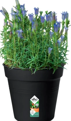 Sale Elho green basics Anzuchttopf D 17 H 15,6 cm schwarz Anzuchttöpfe