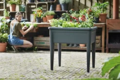 Outlet Elho green basics Anzuchtkasten XXL schwarz 75,5 x 56,3 x 73,3 cm Anzuchtkästen & Mini-Gewächshäuser