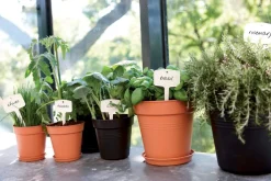 Best Elho green basics Anzuchttopf D 15 H 14 cm schwarz Anzuchttöpfe