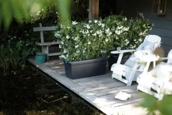 New Elho green basics Garten XXL Anzuchtkasten 60 cm schwarz Anzuchtkästen & Mini-Gewächshäuser