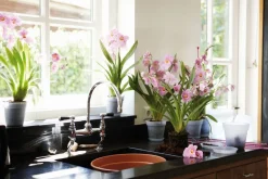 Sale Elho green basics Orchideentopf transparent D 17 H 15,6 cm Blumentöpfe & Pflanzgefäße|Blumentöpfe