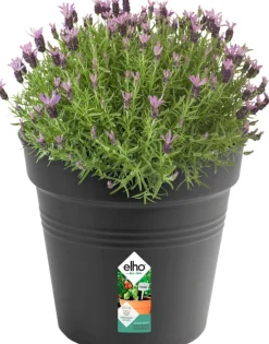 Sale Elho green basics Pflanztopf schwarz D 35 H 32,2 cm Anzuchttöpfe