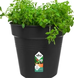 Sale Elho green basics Pflanztopf schwarz D 24 H 22,1 cm Anzuchttöpfe