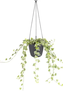 Online Elho Hängeampel Brussels mit Schnur D 18,3 cm H 18 anthrazit Blumenampeln & Hängetöpfe|Blumentöpfe & Pflanzgefäße