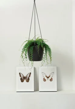 Online Elho Hängeampel Brussels mit Schnur D 18,3 cm H 18 anthrazit Blumenampeln & Hängetöpfe|Blumentöpfe & Pflanzgefäße