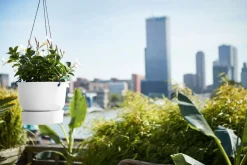 Elho Hängetopf Greenville weiß D 23,9 H 20,3 cm Blumenampeln & Hängetöpfe|Blumentöpfe & Pflanzgefäße