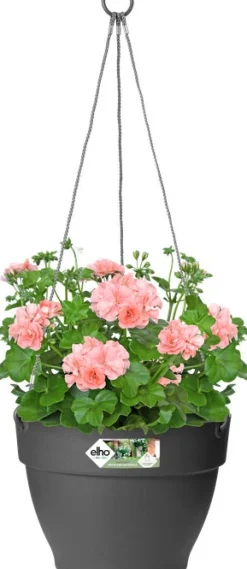 Sale Elho Hängetopf Vibia D 26 H 18 cm anthrazit Blumenampeln & Hängetöpfe|Blumentöpfe & Pflanzgefäße
