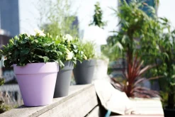 Elho Loft Urban Blumentopf D 25 cm H 22 cm anthrazit Blumentöpfe|Blumentöpfe & Pflanzgefäße