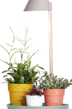 Hot Elho Pflanzenlampe Plant light care grau D 25 H 47 cm Pflanzenlampen