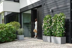 Clearance Elho Pflanzkübel Vivo 39 x 78 x 37,5 cm grau Pflanzkübel|Pflanzkübel & Blumenkübel