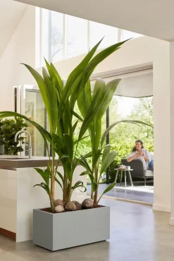 Clearance Elho Pflanzkübel Vivo 39 x 78 x 37,5 cm grau Pflanzkübel|Pflanzkübel & Blumenkübel