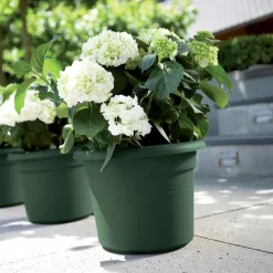 Discount Elho Pflanztopf green basics grün D 24,9 H 18,5 cm Blumentöpfe|Blumentöpfe & Pflanzgefäße