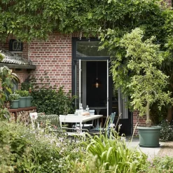 Discount Elho Pflanztopf green basics grün D 24,9 H 18,5 cm Blumentöpfe|Blumentöpfe & Pflanzgefäße