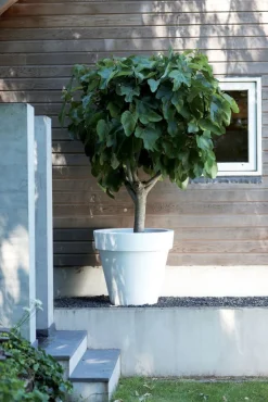 Discount Elho Pure Blumentopf weiß D 40 cm Blumentöpfe|Blumentöpfe & Pflanzgefäße