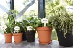 Outlet Elho Untersetzer green basics terracotta D 17 H 2,3 cm Untersetzer