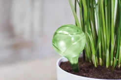 Clearance Elho Wasserspender Aqua Care grün 0,35 l Gießen & Bewässerung|Gießkannen