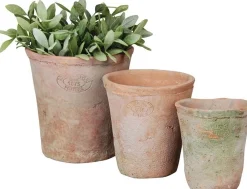 Esschert Design Blumentopf Ted terrakotta D 16 H 17 cm Blumentöpfe|Blumentöpfe & Pflanzgefäße