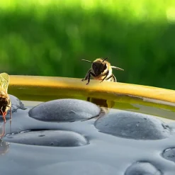 Online Esschert Design Trinkschale für Bienen und Schmetterlinge gelb D 27 H 8 cm Gartenvögel|Insektenhotels