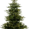 New Everlands künstlicher Weihnachtsbaum Grandis Fir H 210 cm met LED Beleuchtung warmweiß Künstliche Weihnachtsbäume