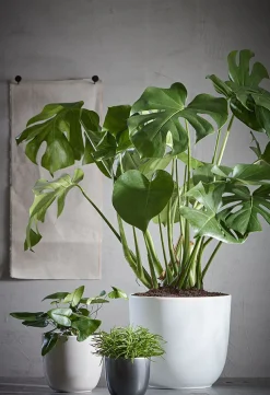 Best Everydays by Blumentopf D 31 cm H 28,5 cm matt weiß Blumentöpfe & Pflanzgefäße|Blumentöpfe