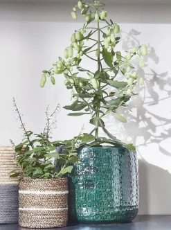 Hot Everydays by Pflanzkorb Celestial naturell / weiß D 6,5 H 6,5 cm Pflanzkörbe|Pflanzkörbe