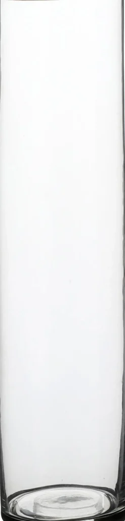 Online Everydays by Vase Carly transparent D 9 cm H 40 cm Blumentöpfe & Pflanzgefäße|Vasen & Krüge