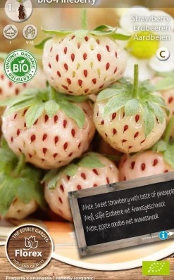 Sale Florex Bio Erdbeere weiß (Fragaria 'Pineberry') Samen Obstsamen|Saatgut
